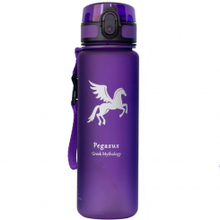 AlpinTec - Style 500 ml Pegasus Purple