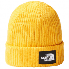 The North Face - Σκούφος Salty Lined Beanie Summit...