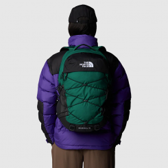 The North Face - Σακίδιο Borealis Evergreen/Tnf Black