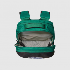 The North Face - Σακίδιο Borealis Evergreen/Tnf Black