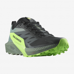 Salomon - Sense Ride 5 Black/Laurel Wreath/Green Gecko
