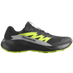 Salomon - Alphaglide GTX Black/Alloy/Sharp Green