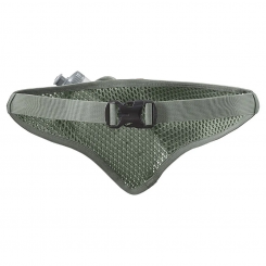 Salomon - Active Belt 3D Bottle Lily Pad/Laurel Wreath