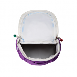 The North Face - Youth Mini Explorer Backpack Grape/Hero Blue