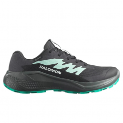 Salomon - W Alphaglide GTX Phantom/Urban Chic/Wate...