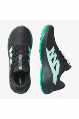 Salomon - W Alphaglide GTX Phantom/Urban Chic/Waterfall