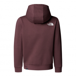 The North Face - Teen Simple Dome Hoodie Tawny Quartz