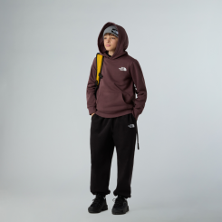 The North Face - Teen Simple Dome Hoodie Tawny Quartz