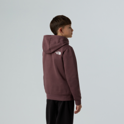 The North Face - Teen Simple Dome Hoodie Tawny Quartz