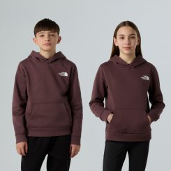 The North Face - Teen Simple Dome Hoodie Tawny Quartz