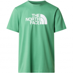 The North Face - M Evolution Half Dome Regular Short Sleeve Dimmed Algae