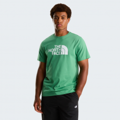 The North Face - M Evolution Half Dome Regular Short Sleeve Dimmed Algae
