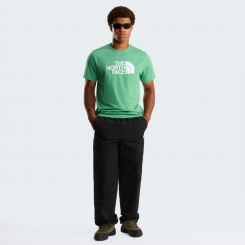 The North Face - M Evolution Half Dome Regular Short Sleeve Dimmed Algae