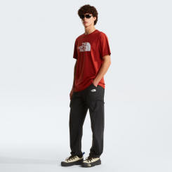 The North Face - M Evolution Half Dome Regular Short Sleeve Iron Clay