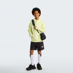 The North Face - Teen Simple Dome Light Reg Short Tnf Black