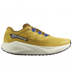 Salomon - Aero Blaze 3 GRVL Spicy Mustard/Vanilla ...
