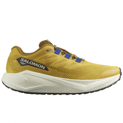 Salomon - Aero Blaze 3 GRVL Spicy Mustard/Vanilla ...