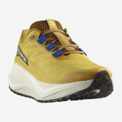 Salomon - Aero Blaze 3 GRVL Spicy Mustard/Vanilla Ice/Nautical Blue