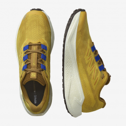 Salomon - Aero Blaze 3 GRVL Spicy Mustard/Vanilla Ice/Nautical Blue