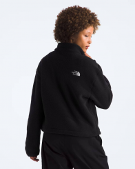 The North Face - W Tnf Fleeski 1/4 Zip Po Black/Tnf Black