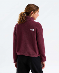 The North Face - W Tnf Fleeski 1/4 Zip Burgundy Crush