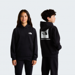 The North Face - Teen Evolution Box NSE Pullover Hoodie Tnf Black