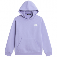 The North Face - Teen Evolution Box NSE Pullover Hoodie Pale Plum