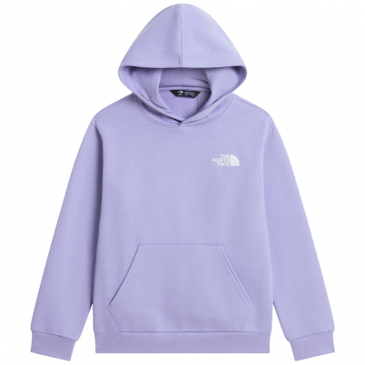 The North Face - Teen Evolution Box NSE Pullover H...