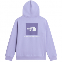 The North Face - Teen Evolution Box NSE Pullover Hoodie Pale Plum