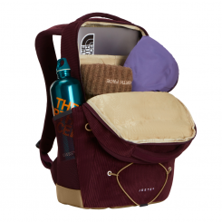 The North Face - Jester Pro Deep Burgundy/Leather Brown
