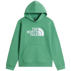 The North Face - Teen Tnf Essential Drew Peak Hoodie Dimmed Algae