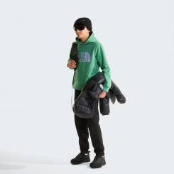 The North Face - Teen Tnf Essential Drew Peak Hoodie Dimmed Algae